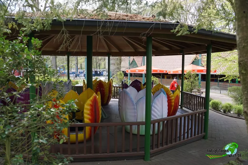 Blütenkarussell im Tier- und Freizeitpark Thüle - 2022