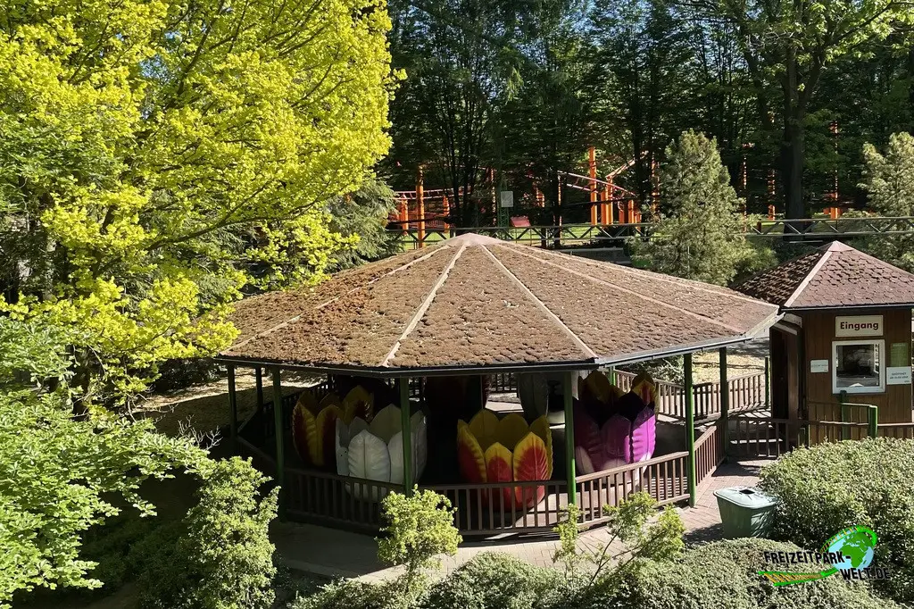 Blütenkarussell im Tier- und Freizeitpark Thüle - 2024