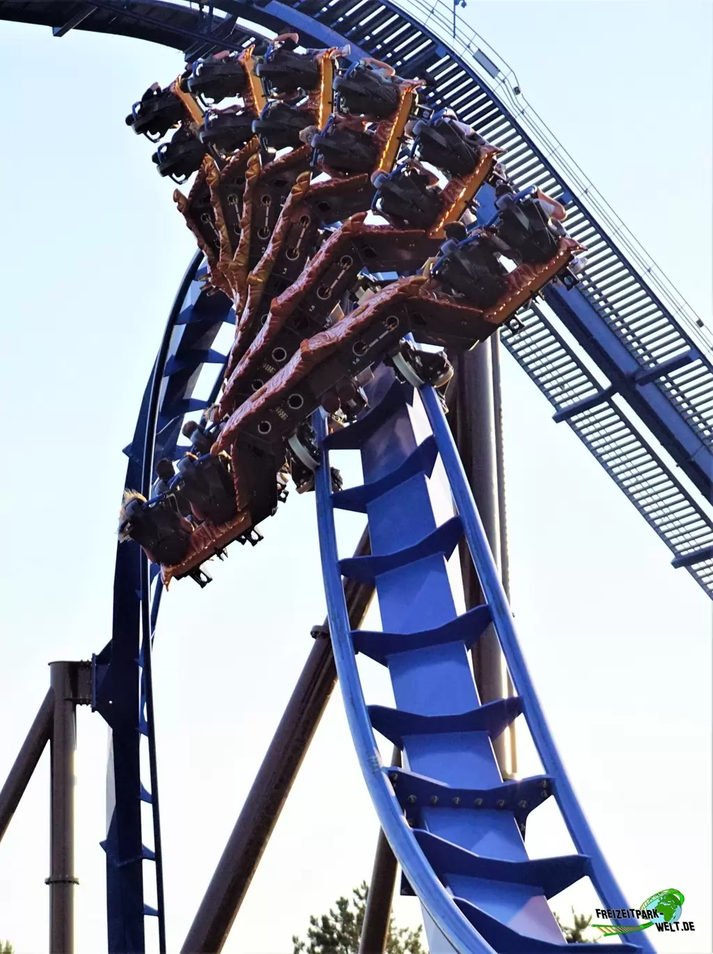 Fēnix im Toverland - 2018