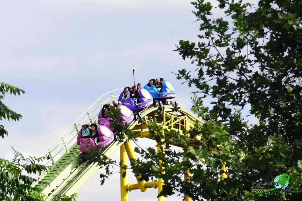 Dwervelwind im Toverland - 2019