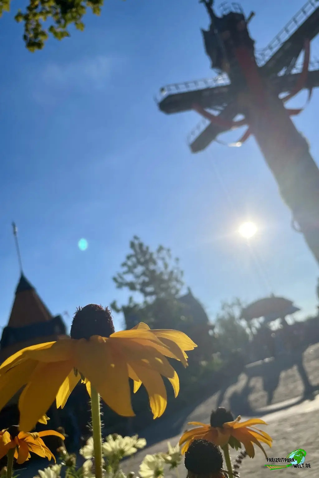 Dragonwatch im Toverland - 2023