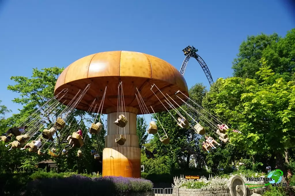 Wirbelpilz im Erlebnispark Tripsdrill - 2020