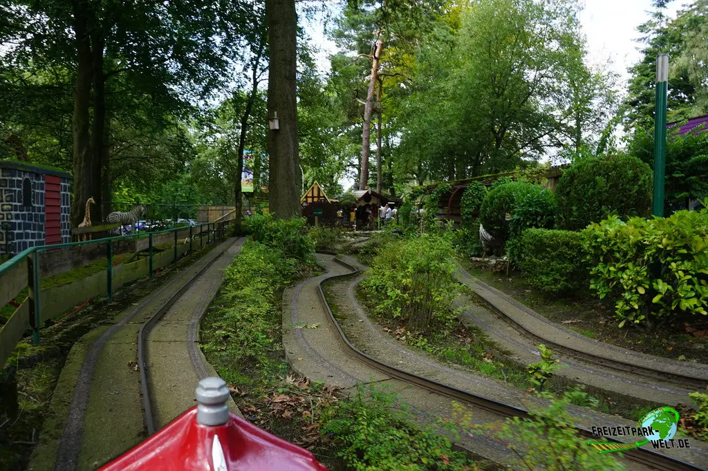 Oldtimers im De Waarbeek - 2023