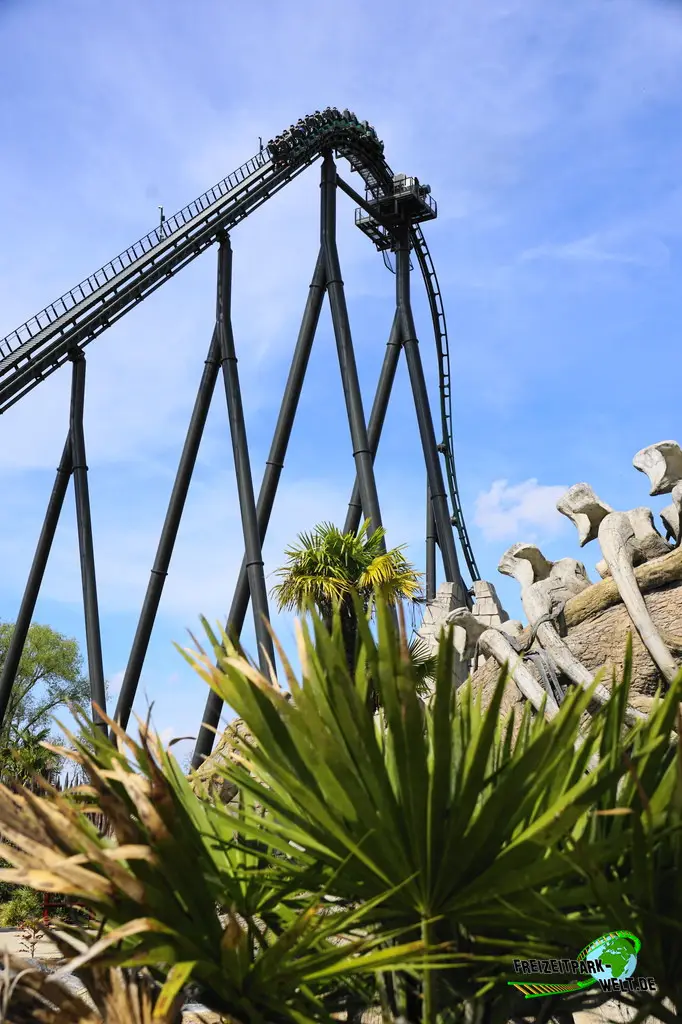 Kondaa im Walibi Belgium - 2025