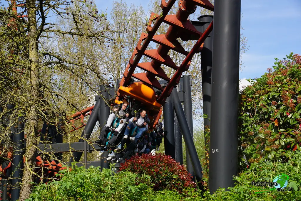 Vampire im Walibi Belgium - 2025