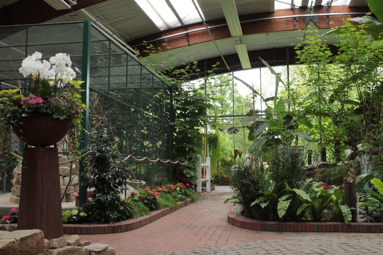 Blumenreich Wiesmoor - Highlights & Tipps zum Besuch im