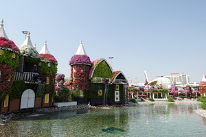Mini-Galerie Dubai Miracle Garden Foto 5