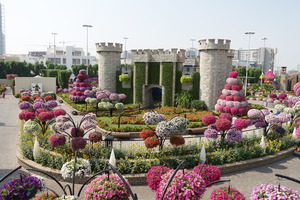 Mini-Galerie Dubai Miracle Garden Foto 7