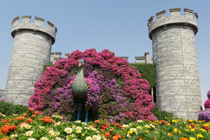 Mini-Galerie Dubai Miracle Garden Foto 9