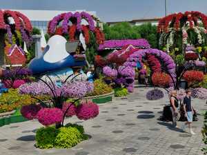 Mini-Galerie Dubai Miracle Garden Foto 7
