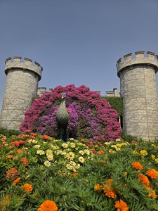 Mini-Galerie Dubai Miracle Garden Foto 10