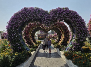 Mini-Galerie Dubai Miracle Garden Foto 12