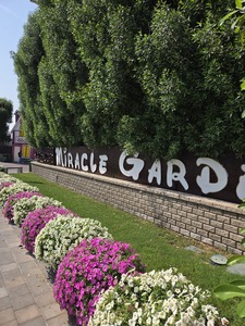 Mini-Galerie Dubai Miracle Garden Foto 12