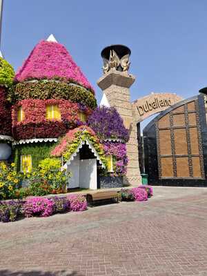 Mini-Galerie Dubai Miracle Garden Foto 4