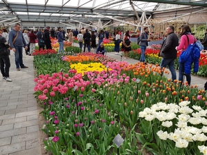 Mini-Galerie Keukenhof Foto 9
