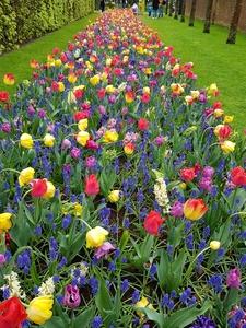 Mini-Galerie Keukenhof Foto 16