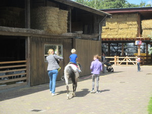 Pony-Reiten gehört natürlich auch zum Angebot - Foto 4