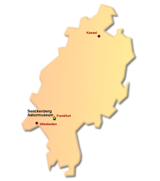 Hallenspielpl&auml;tze und Museen in Hessen