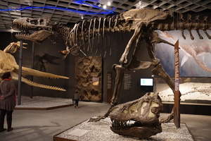 Mini-Galerie LWL-Museum für Naturkunde Münster Foto 4