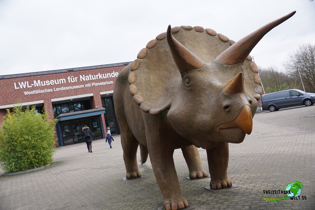 LWL-Museum für Naturkunde Münster - 2018