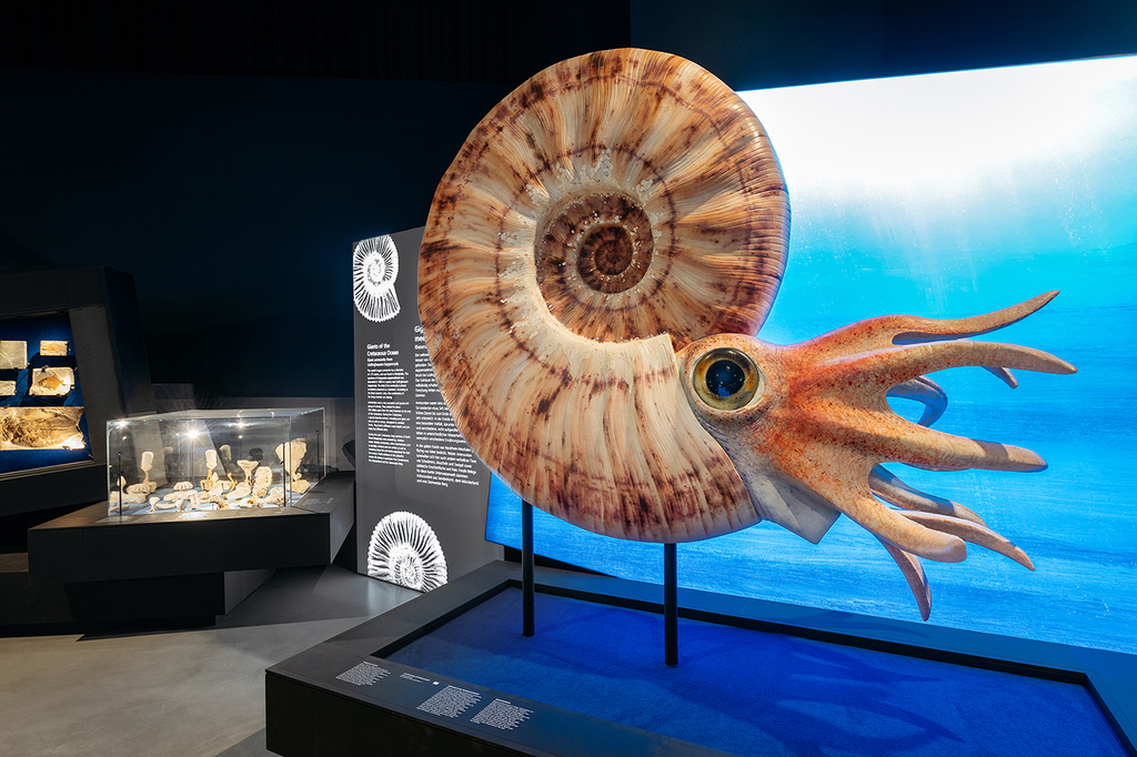 Naturkundemuseum26_Steinweg (1).jpg