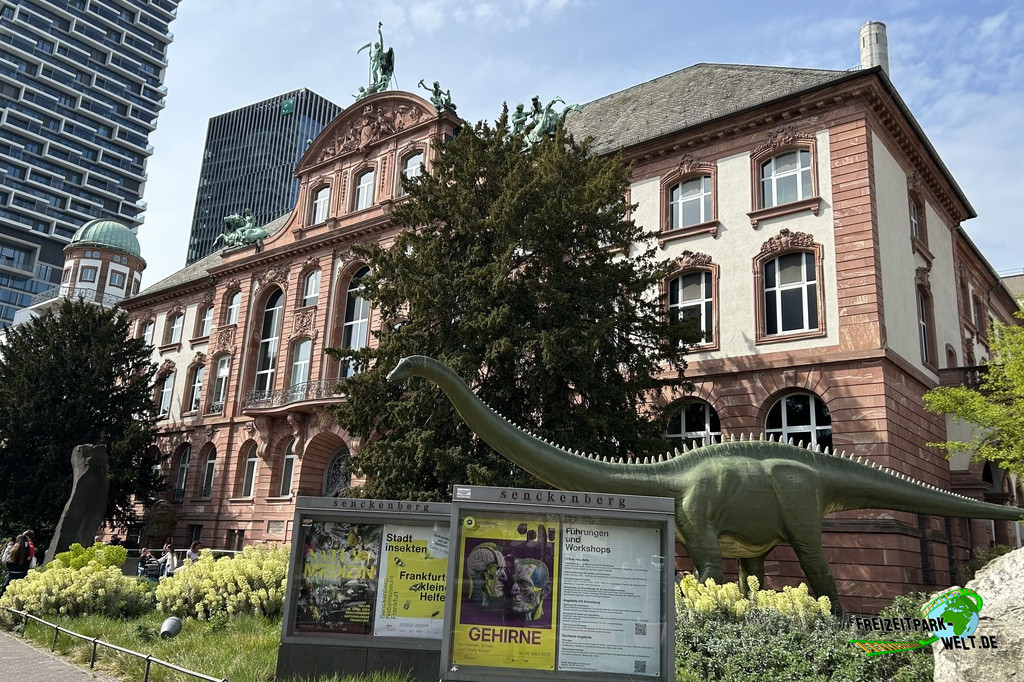 Senckenberg Naturmuseum - 2025