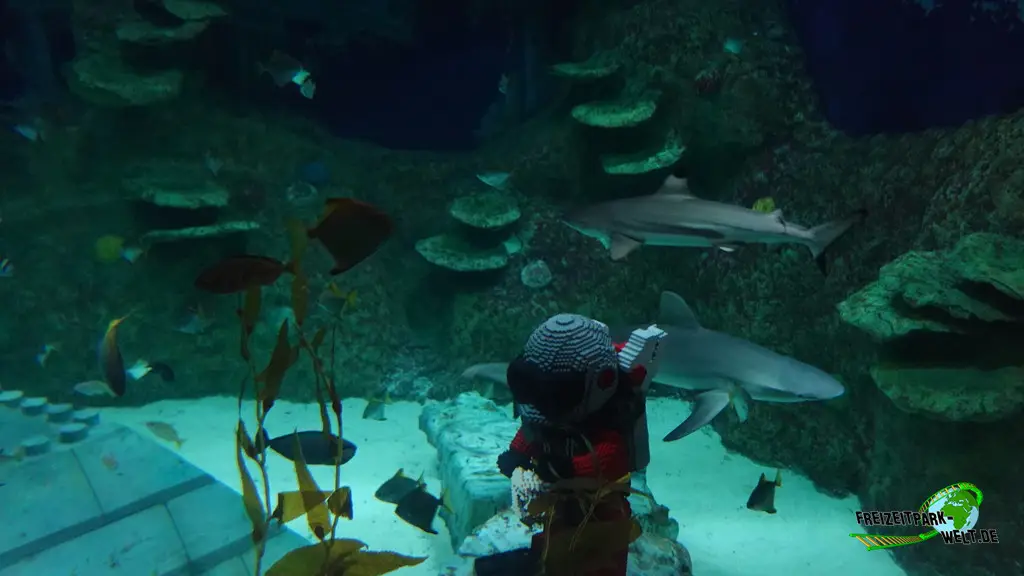 Submarine Adventure im LEGOLAND® Dubai - 2025