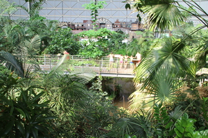 Mini-Galerie Tropical Islands Foto 8