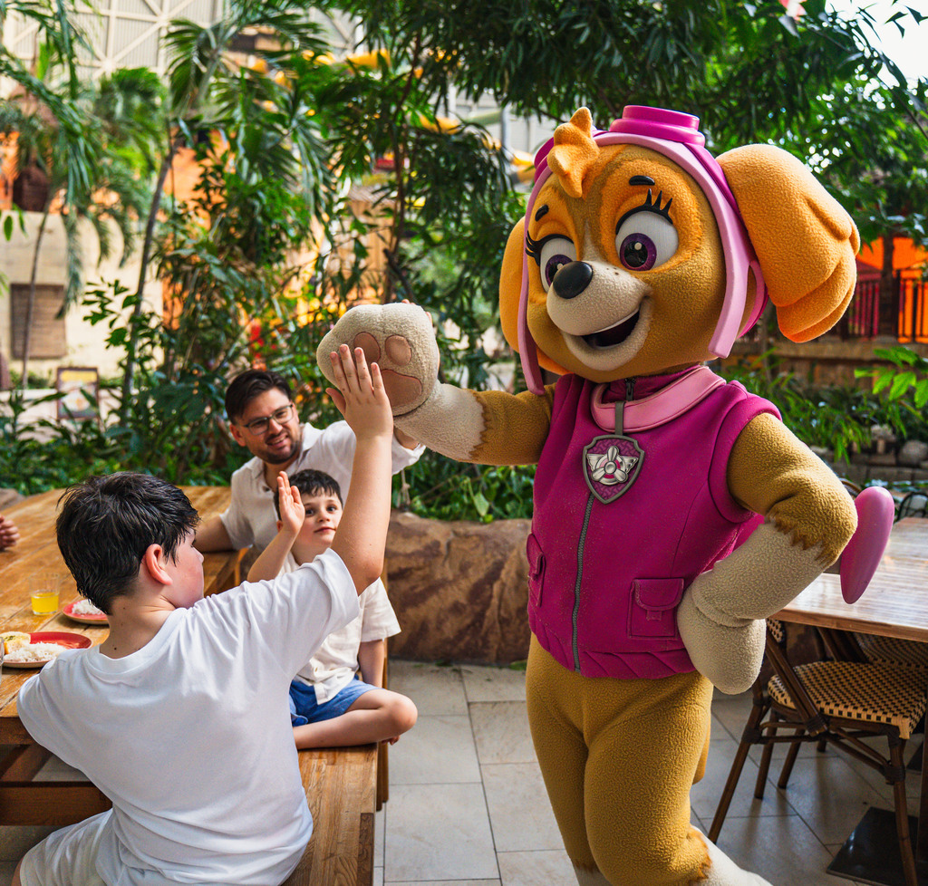 Tropical Islands Nickelodeon-16.jpg