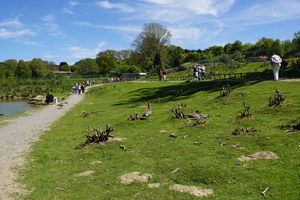 Mini-Galerie Affen- und Vogelpark Eckenhagen Foto 6