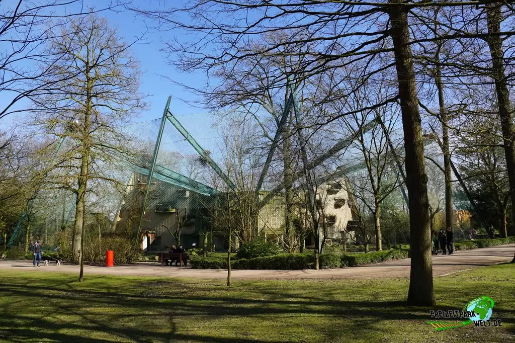 Westlicher Gänsegeier im Allwetterzoo Münster - 2015: Großvoliere