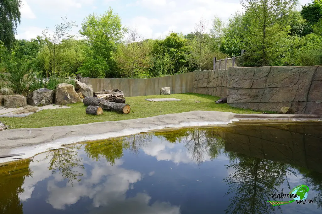 Flachlandtapir im Allwetterzoo Münster - 2024