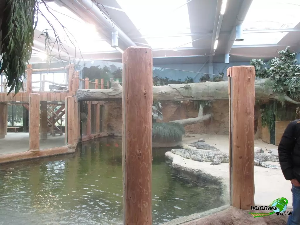 Nilkrokodil im Beekse Bergen - 2018
