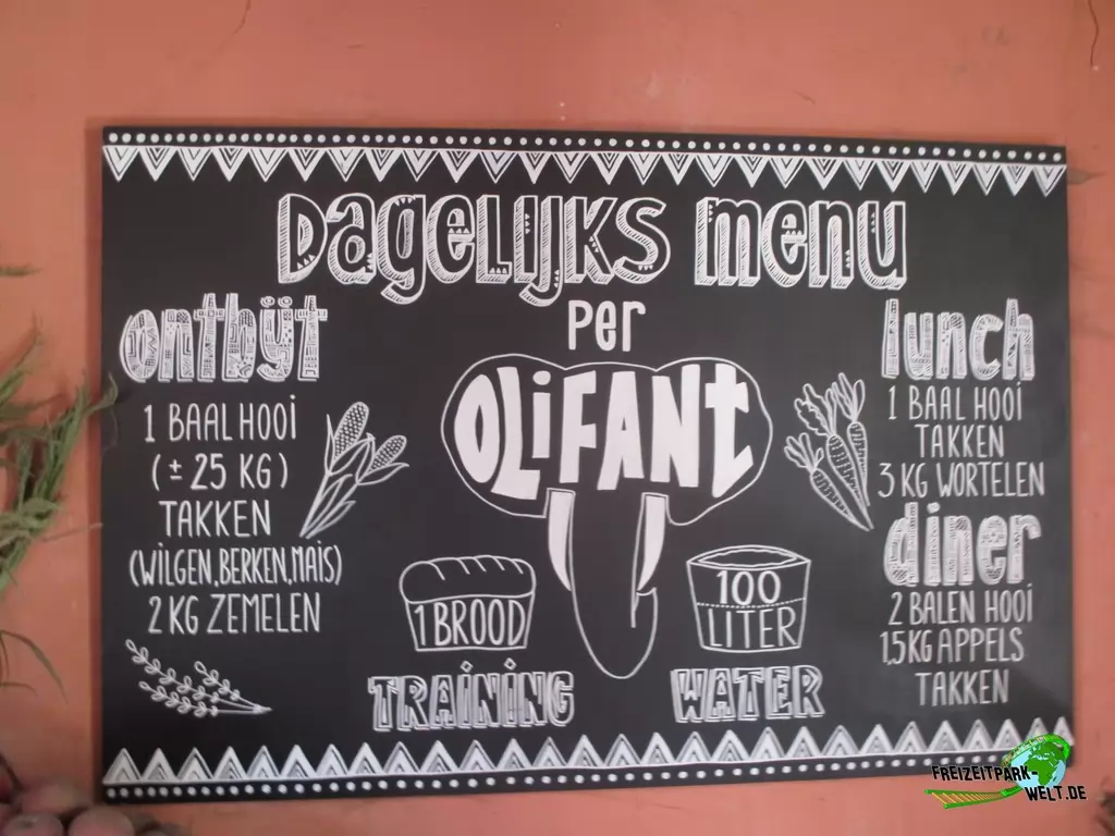 Afrikanischer Elefant im Beekse Bergen - 2018: Die tägliche Speisekarte eines Elefanten