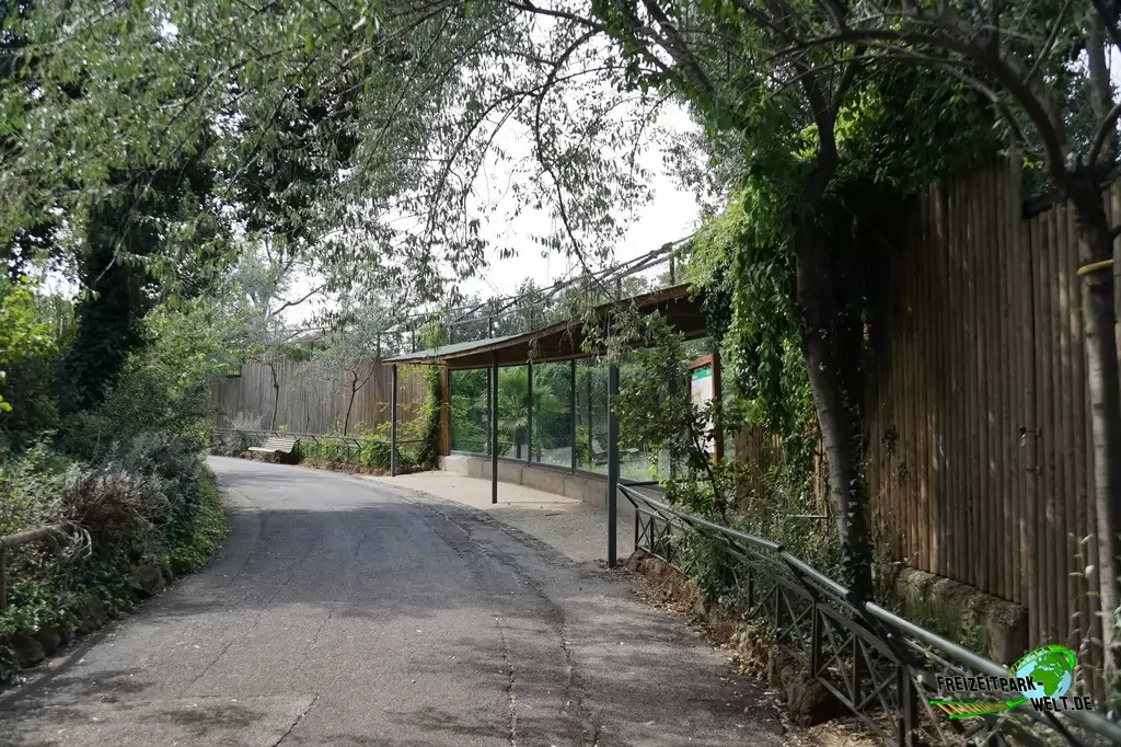 Mähnenwolf im Bioparco di Roma - 2018