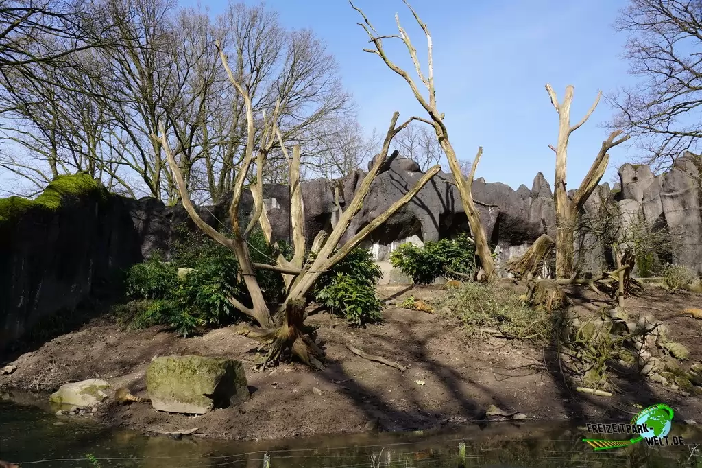 Nasenbär in Burgers' Zoo - 2017