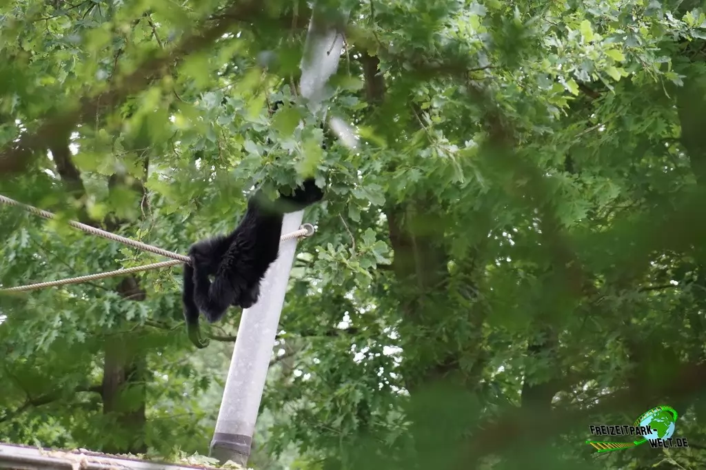 Burgers' Zoo - 2018: 