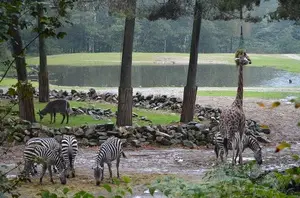 Burgers' Zoo Galerie