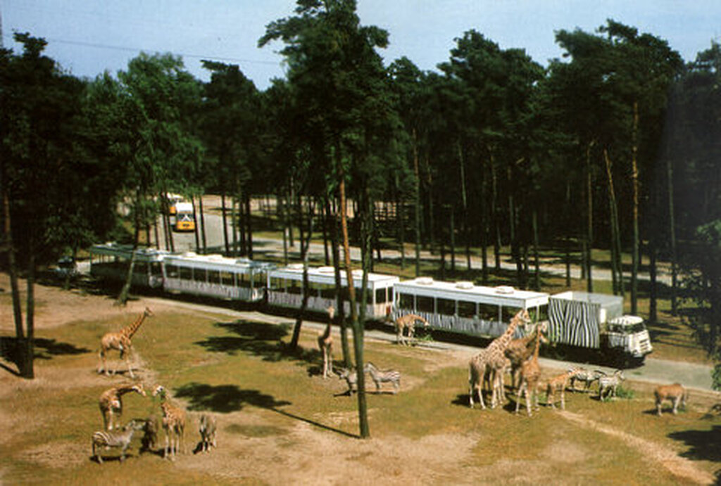 Der Safarizug in Bur.jpg