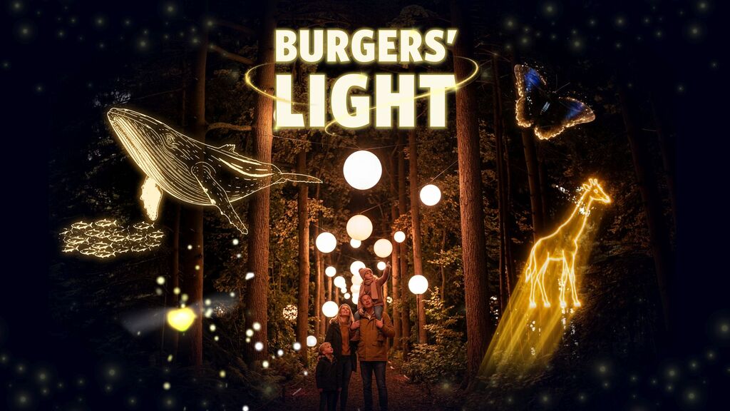 burgerslights (1).jpg