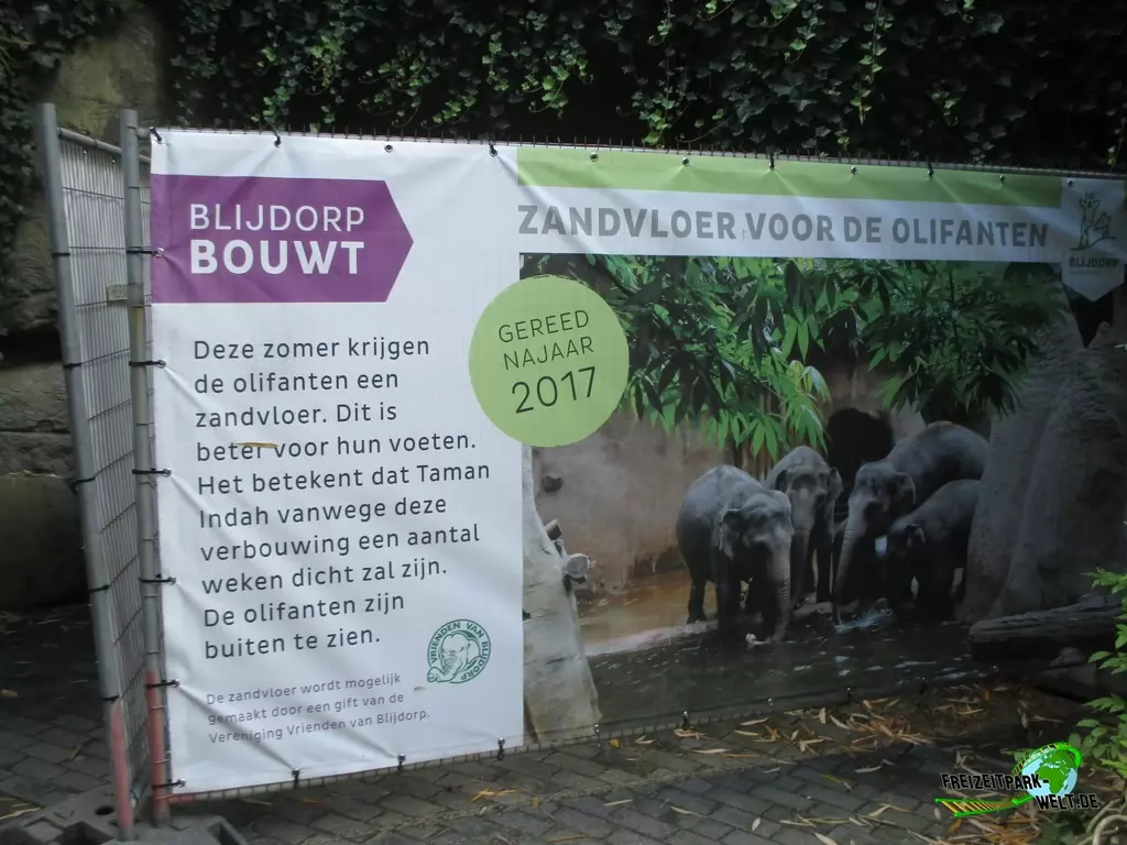 Asiatischer Elefant im Diergaarde Blijdorp Rotterdam - 2017
