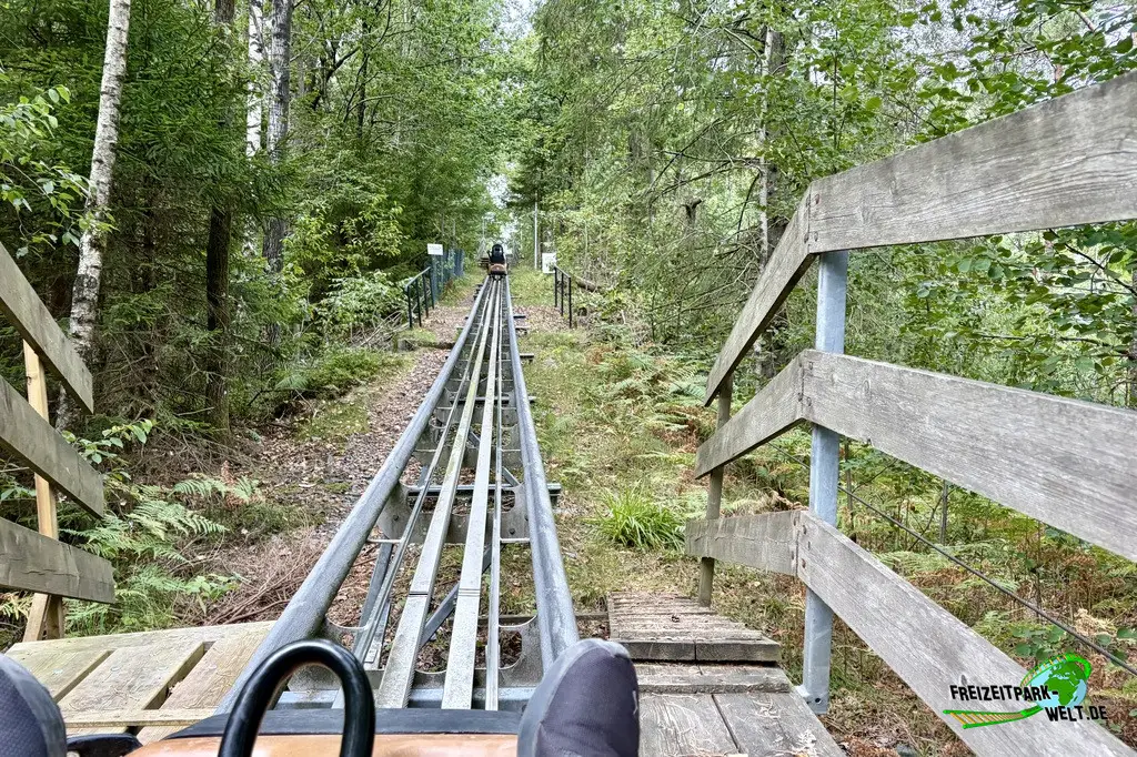 Jungel Bob im Dyreparken - 2026