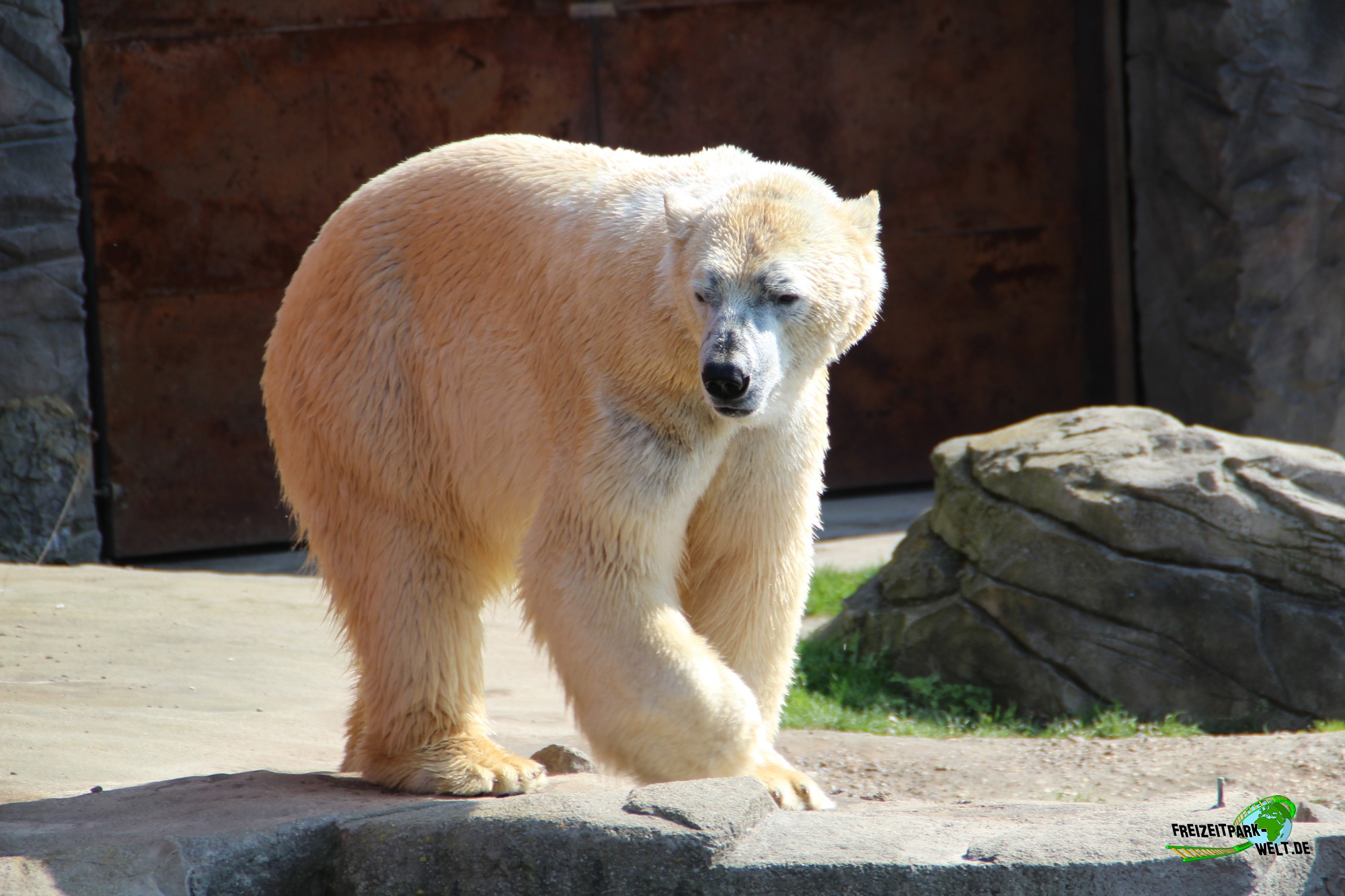 ErlebnisZoo Hannover Highlights & Tipps zum Besuch im Zoo / Tierpark