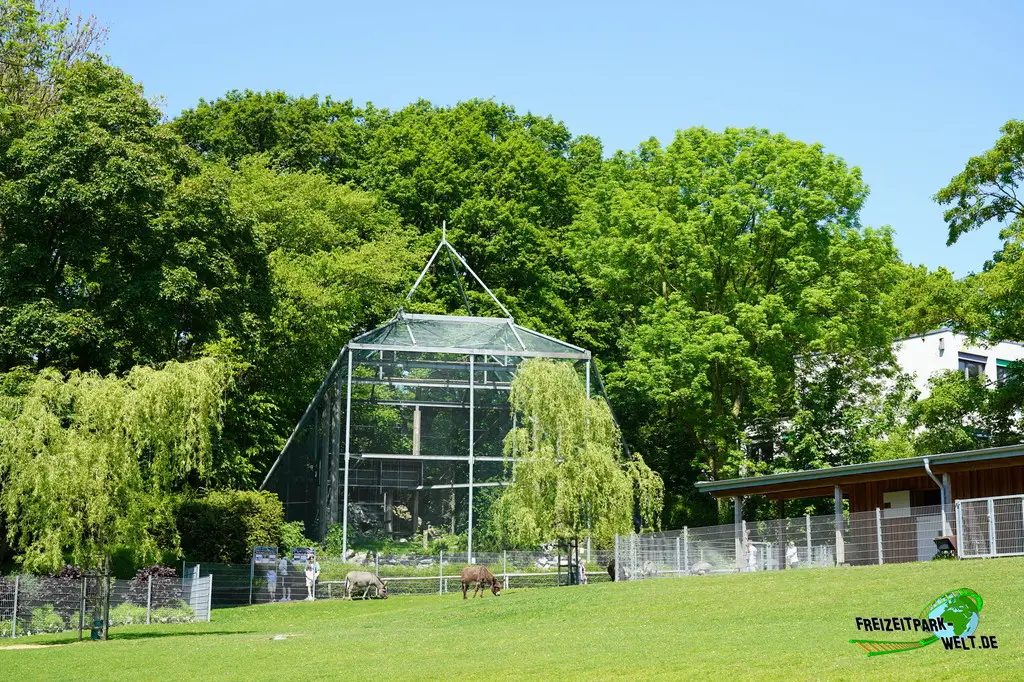 Bartgeier im Aachener Tierpark - 2026: Ene große Sonnenwiese mit Blick auf die Voliere der Bartgeier