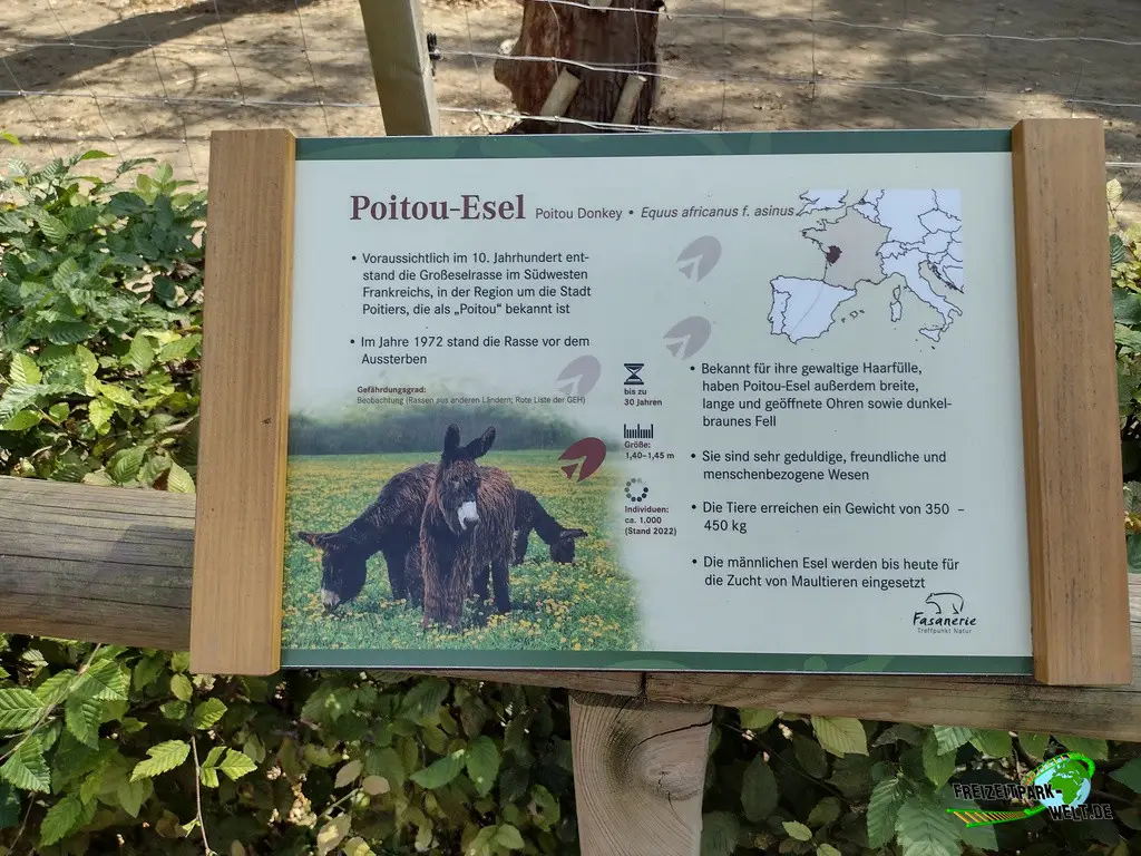 Poitou-Esel im Fasanerie Wiesbaden - 2024: Schön gestaltete Info-Tafeln