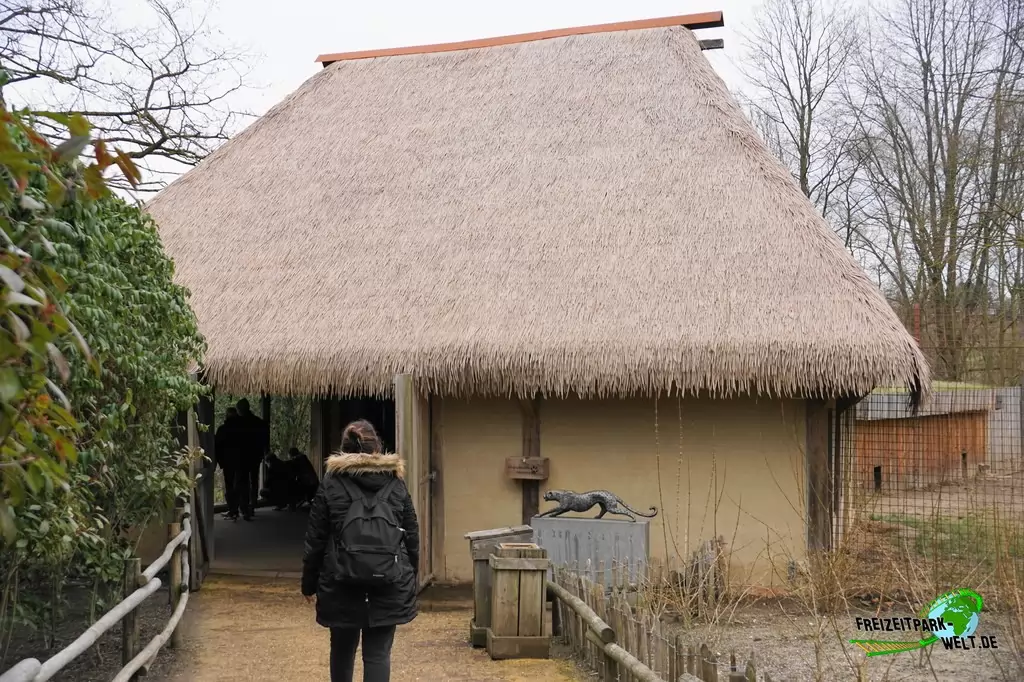 Gepard im GaiaZOO - 2018