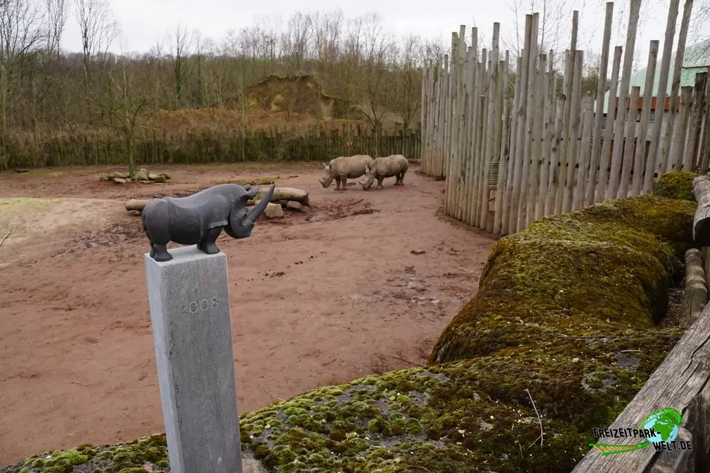Breitmaul-Nashorn im GaiaZOO - 2018