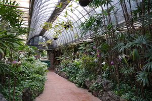 Mini-Galerie Loro Parque Foto 9