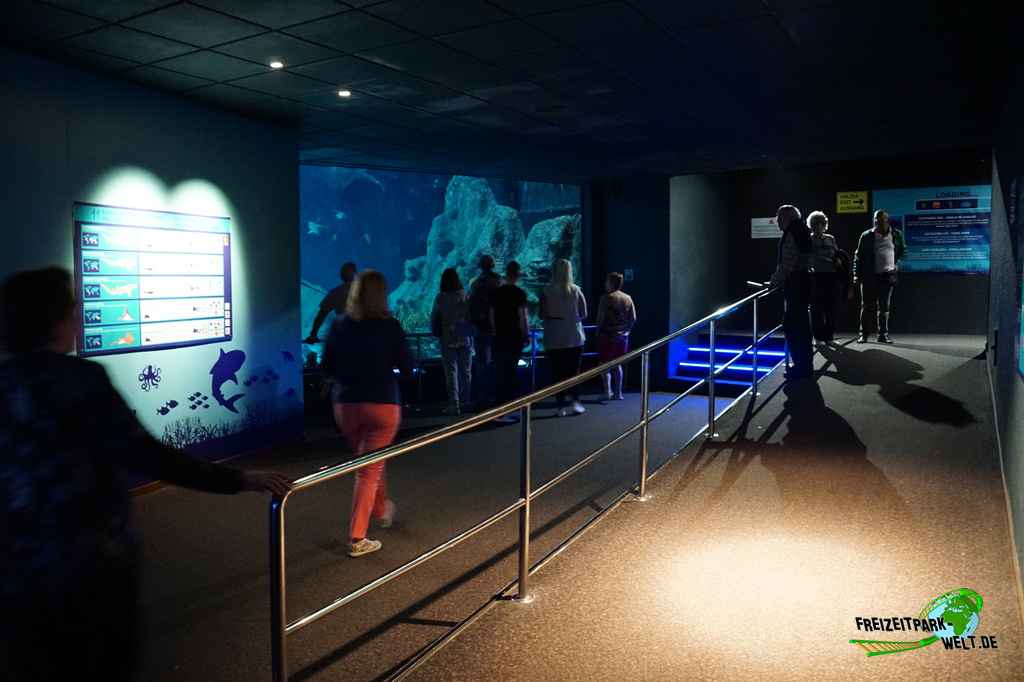 Aquarium - Loro Parque