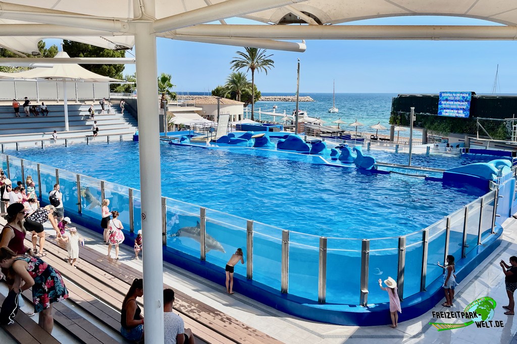 Delfinshow im Marineland Mallorca - 2022